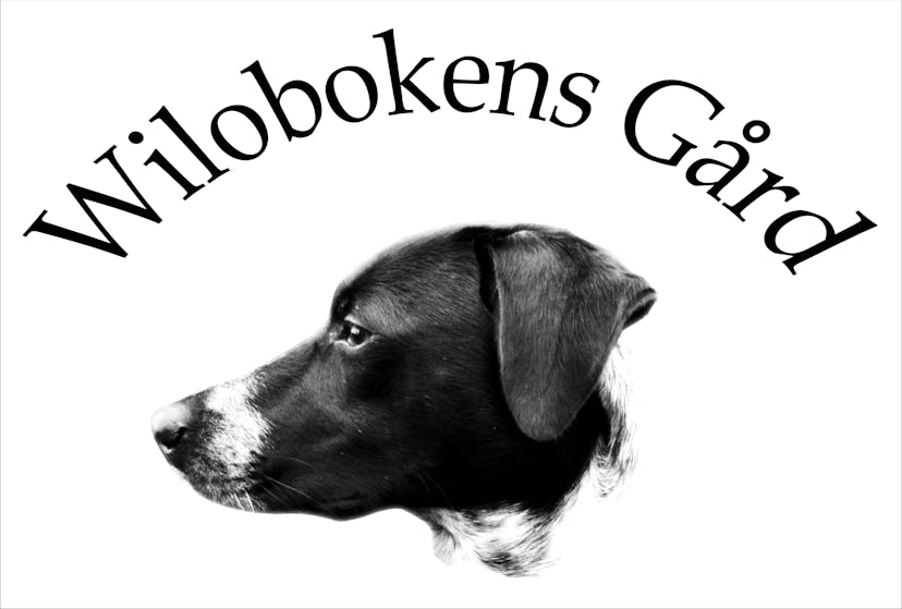 Logotyp för Wilobokens Gård AB